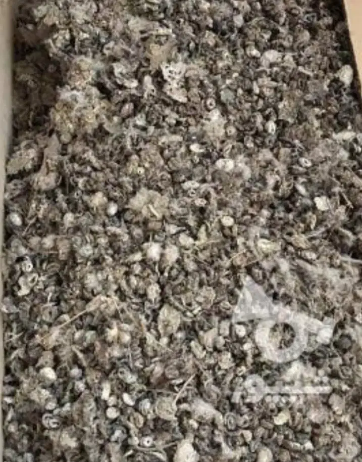 کود کفتر|خدمات باغبانی و درختکاری|قم, شهدا|دیوار