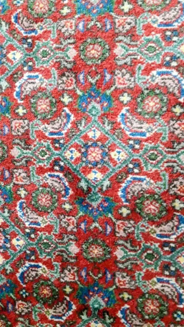 کناره دستبافت|فرش|نجف‌آباد, ویلاشهر|دیوار