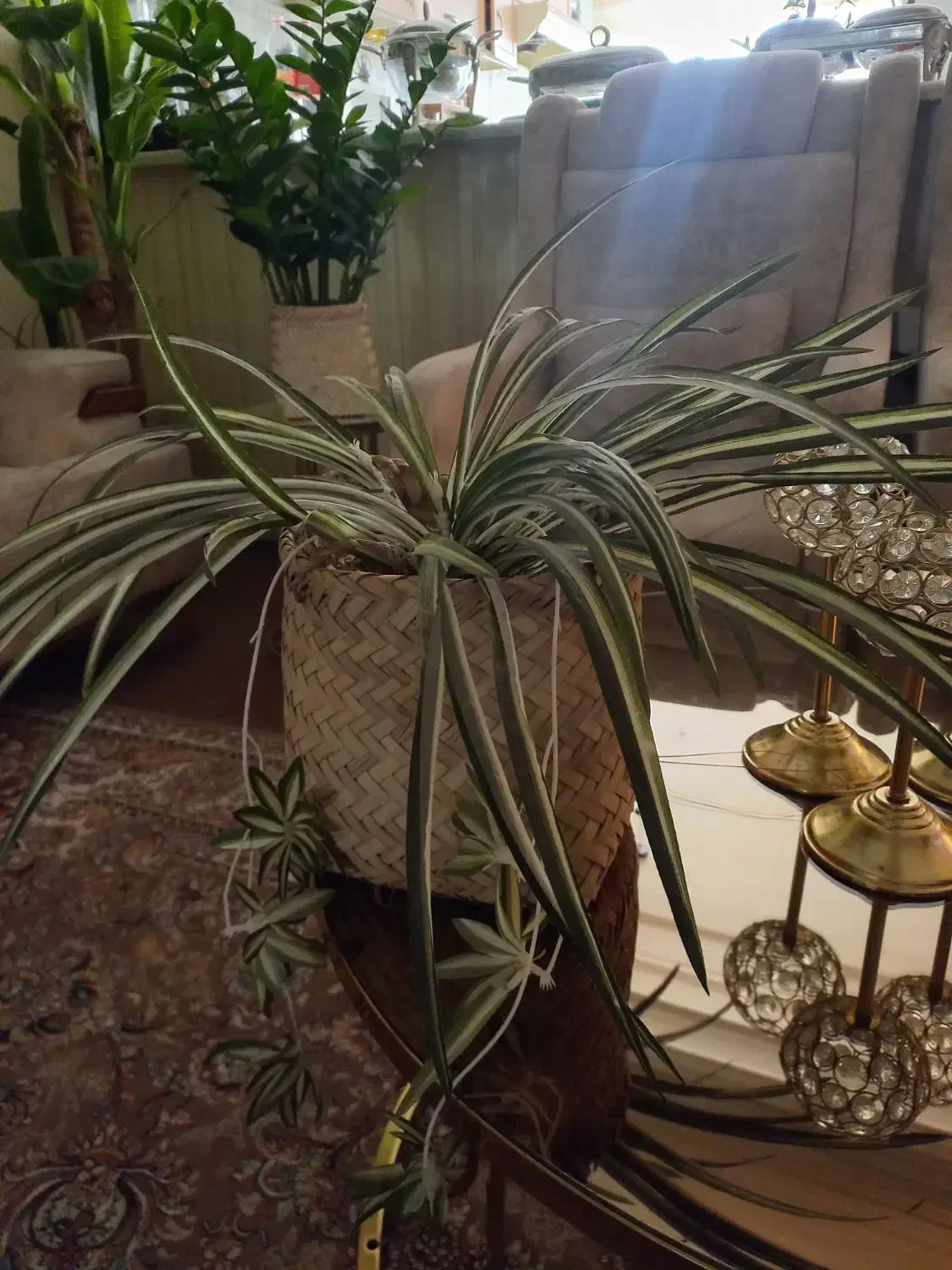 گل مصنوعی|گل مصنوعی|گنبد کاووس, |دیوار