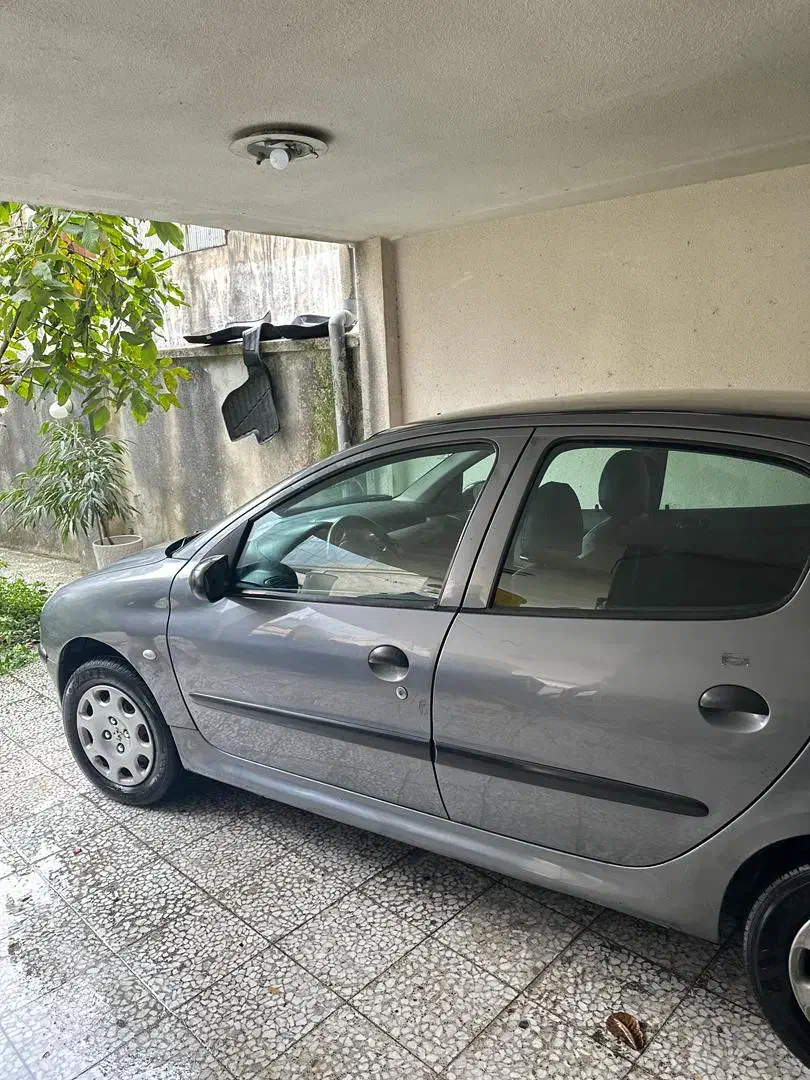 پژو 206|خودرو سواری و وانت|رشت, نظری|دیوار