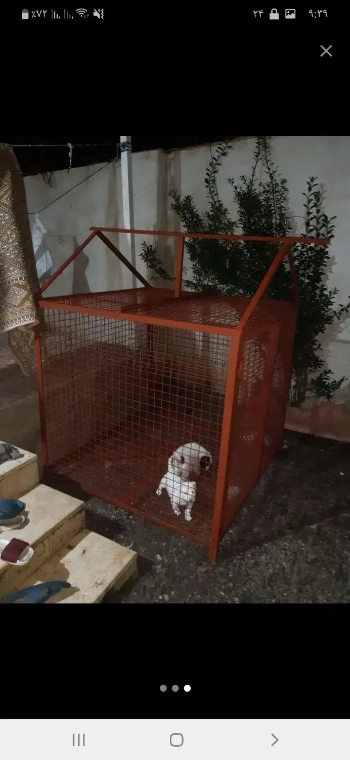 لونه سگ یا لونه مرغ بزرگ|لوازم جانبی حیوانات|رشت, آب آسیاب|دیوار