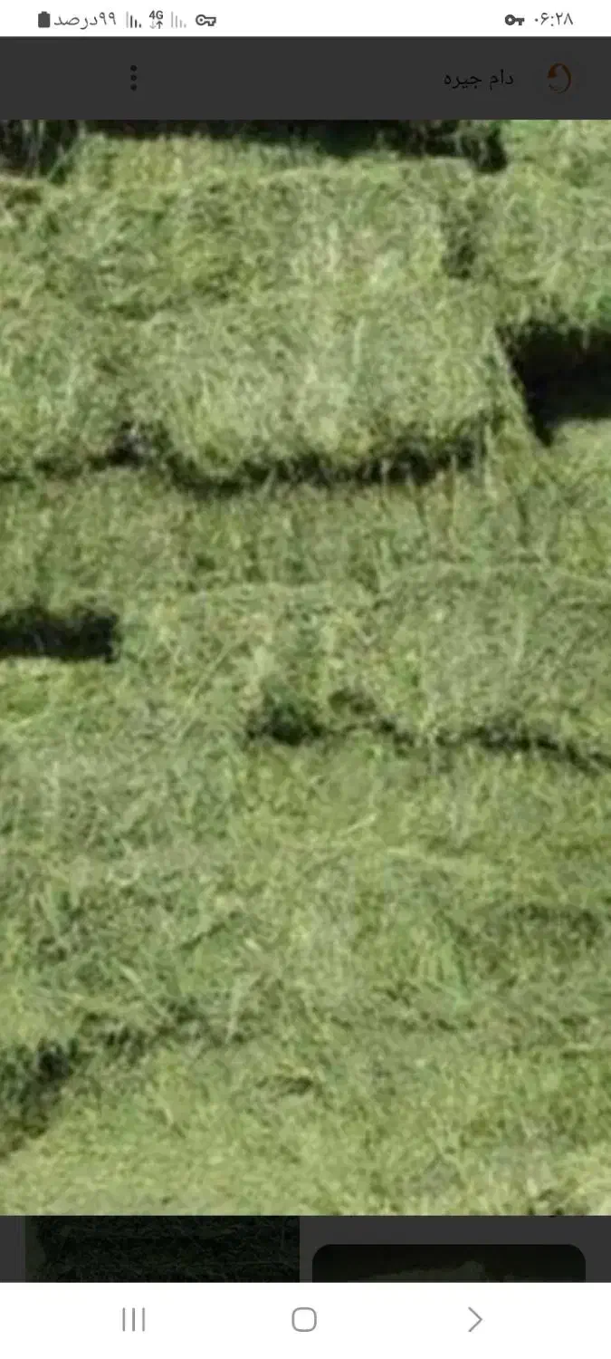 یونجه پرس درجه یک ۳۳هزار|خدمات باغبانی و درختکاری|قیدار, |دیوار