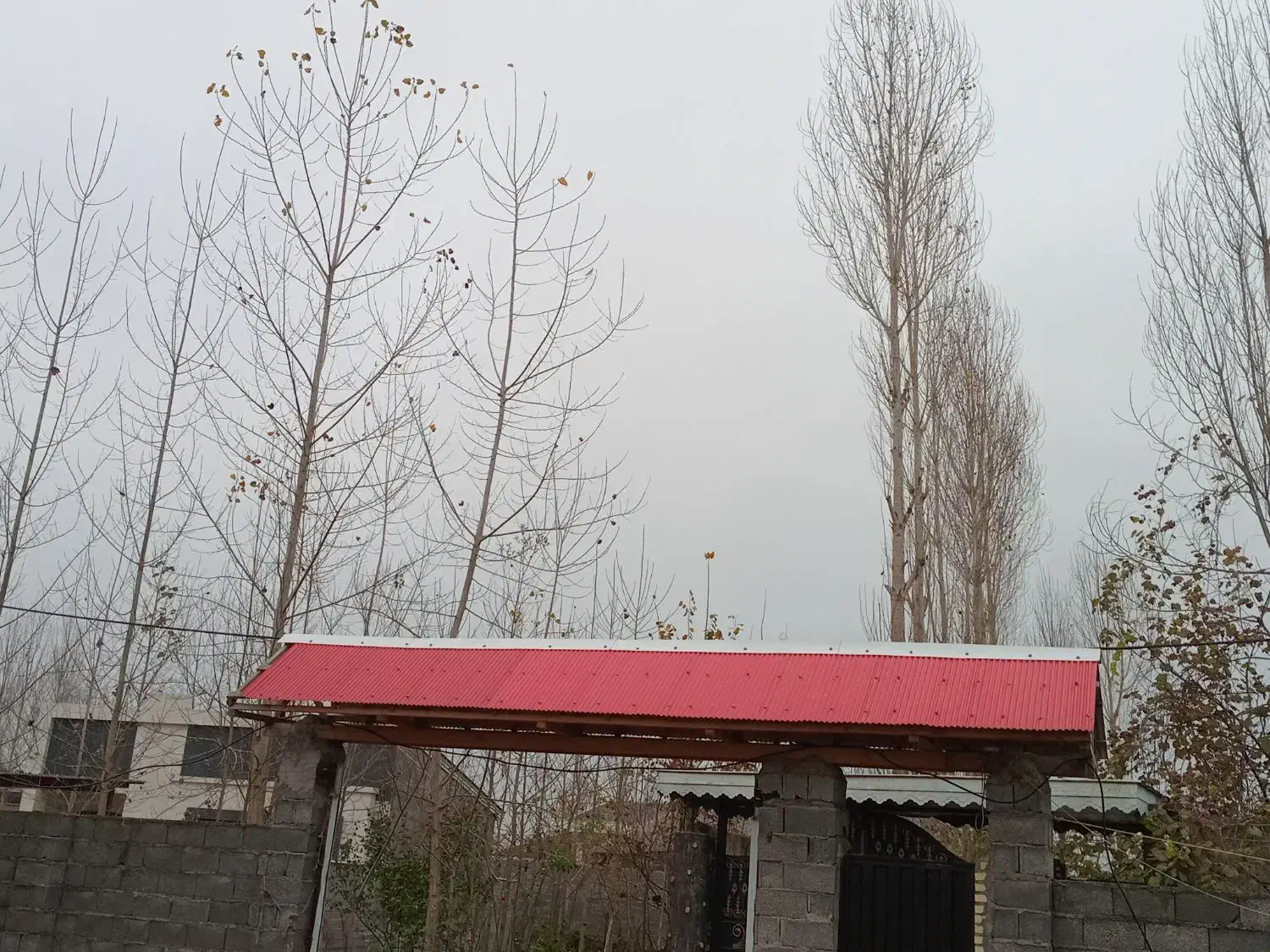 نجاری سقف شیروانی حلب زنی سقف کاذب راویز|خدمات پیشه و مهارت|رشت, کوی بیانی|دیوار