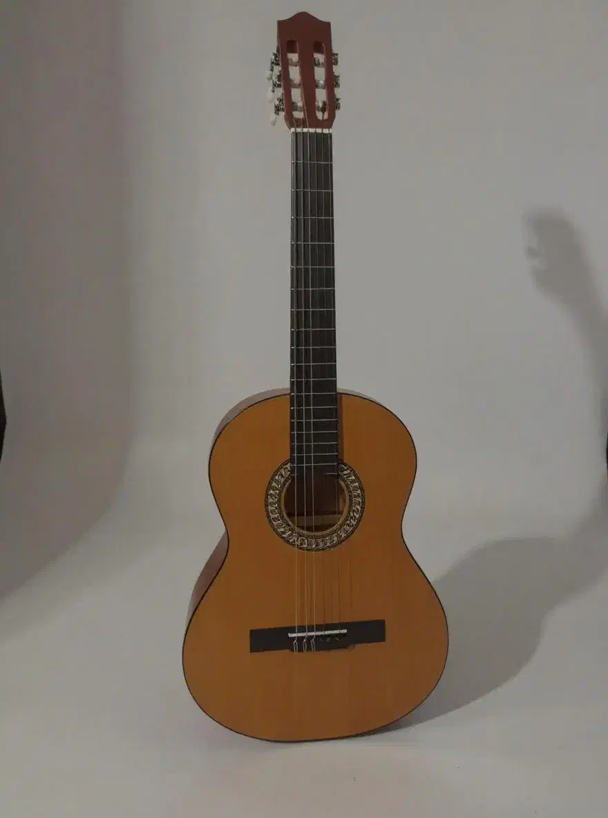 گیتار اکوستیک|گیتار، بیس، امپلیفایر|گنبد کاووس, |دیوار