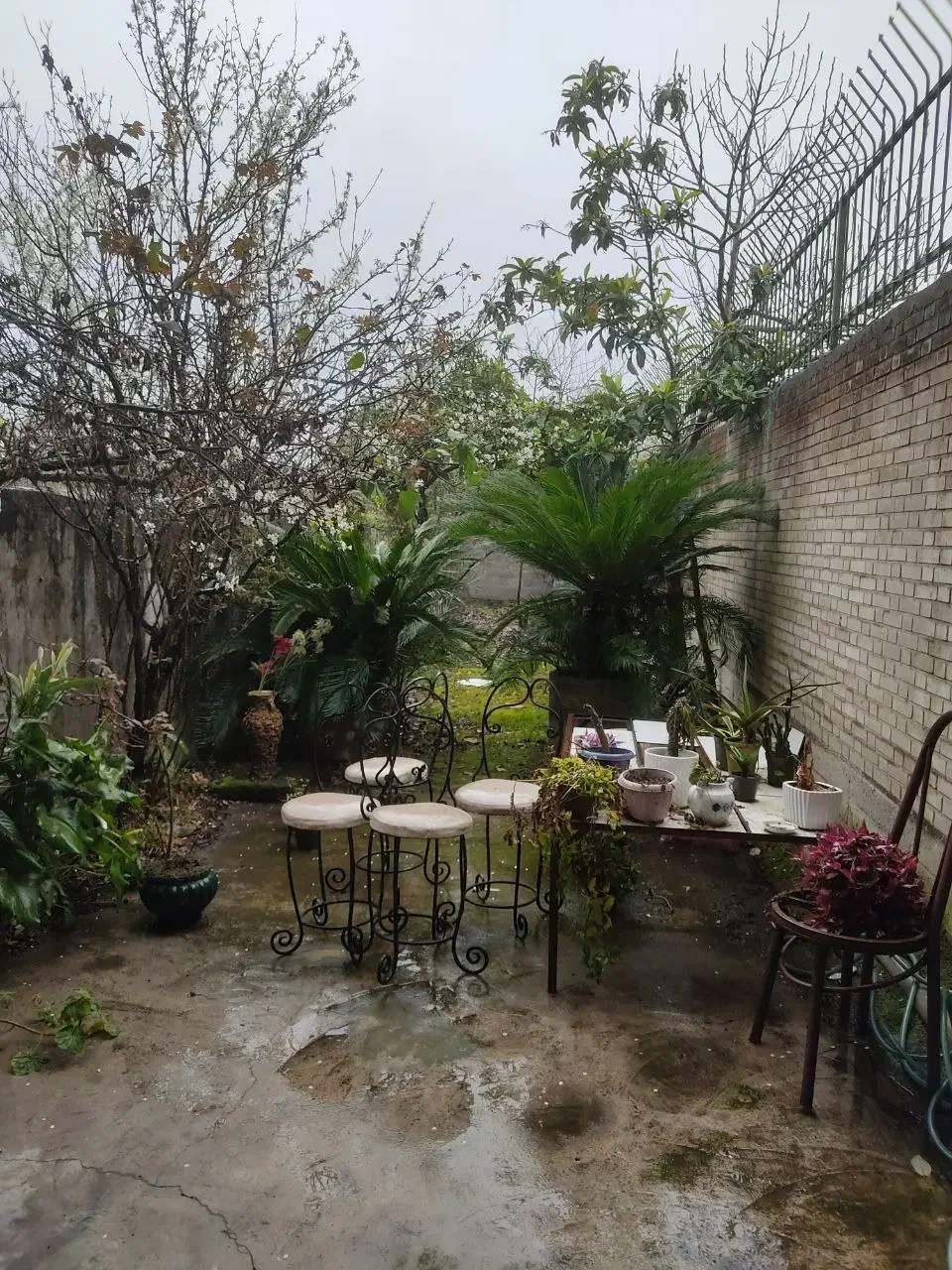 فروش زمین ۱۸۰ متری در بلوار گیلان|فروش زمین و ملک کلنگی|رشت, بلوار گیلان|دیوار