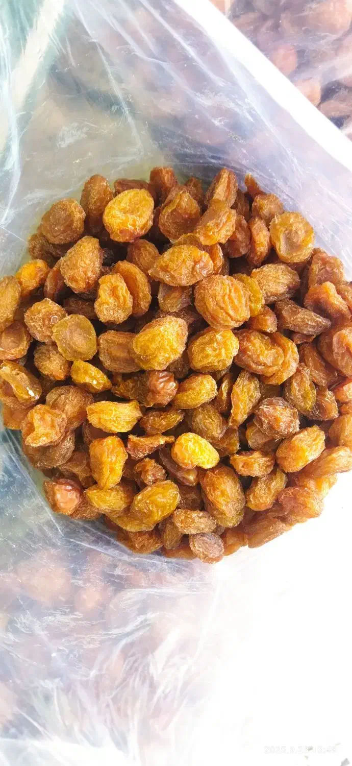 آلو جوشوندنی|خوردنی و آشامیدنی|شیراز, زیباشهر|دیوار