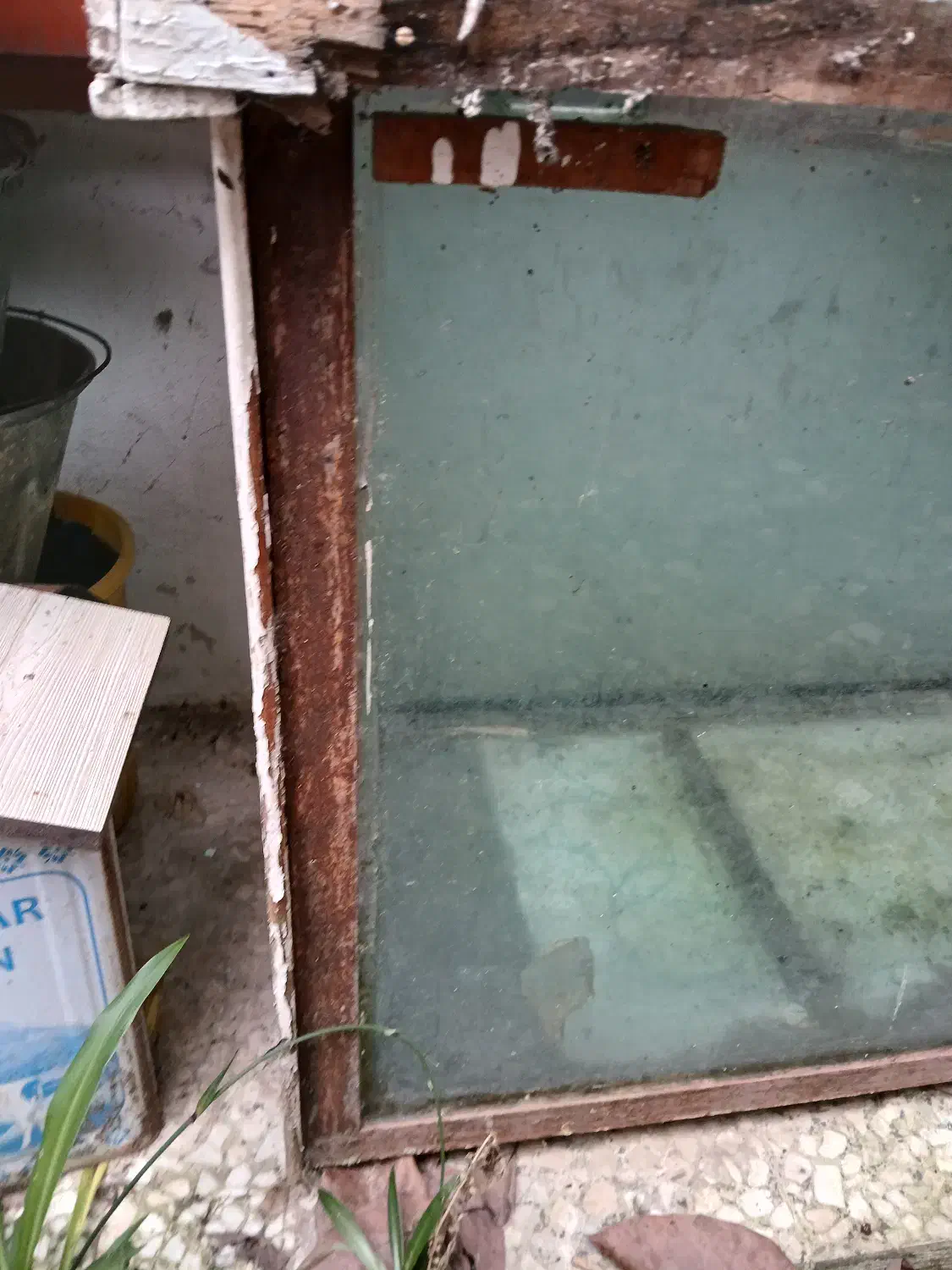 آکواریوم بزرگ با پایه|ماهی|رضوانشهر, |دیوار