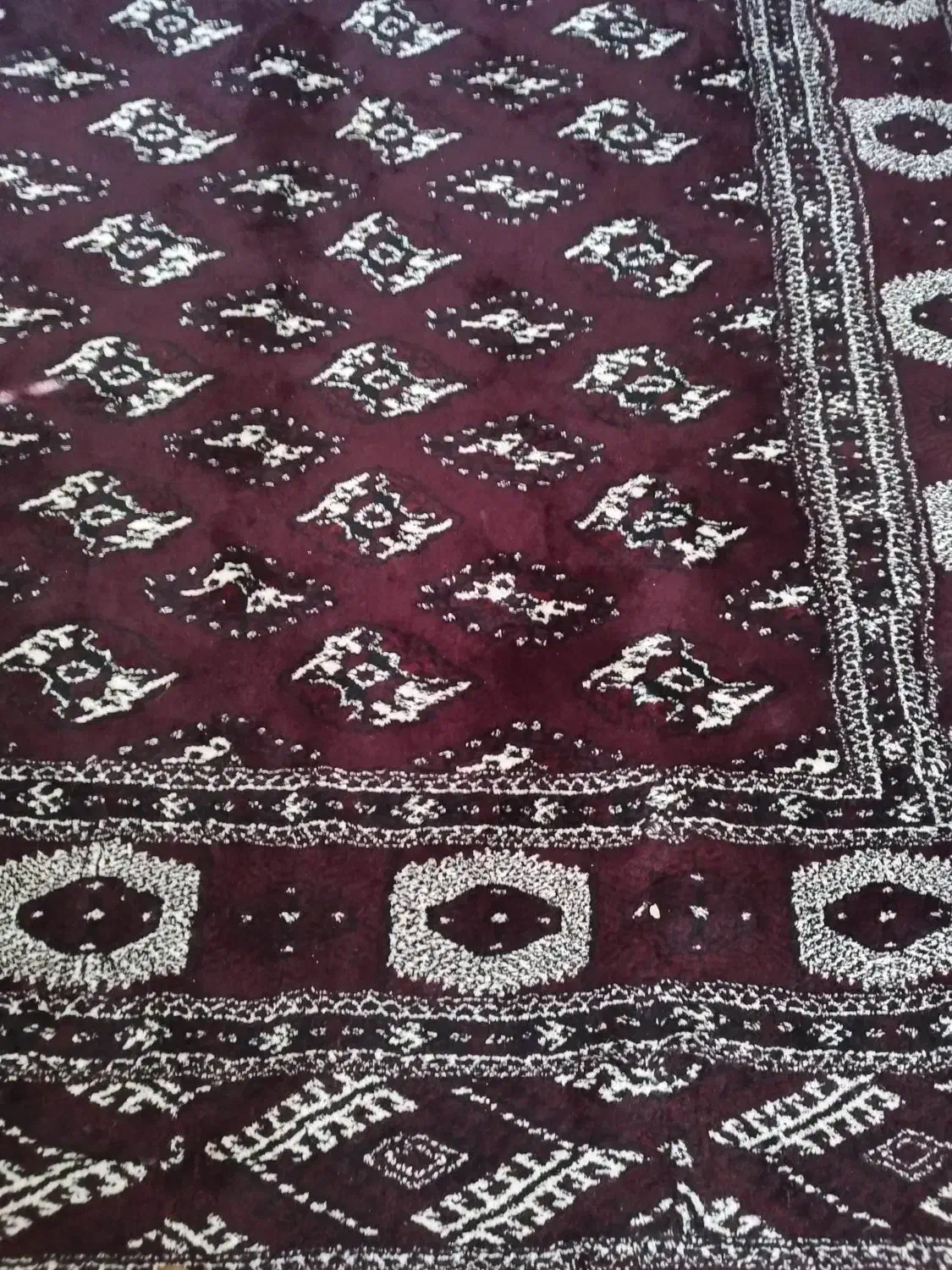 فرش دستباف|فرش|بندر ترکمن, |دیوار