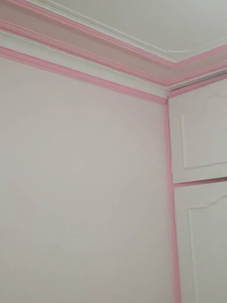 نقاشی ساختمان ونما وفنسکاری باغ|خدمات پیشه و مهارت|شاهین دژ, |دیوار