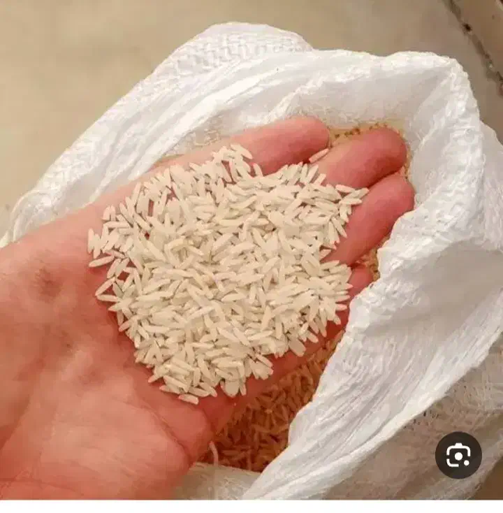 برنج هاشمی و لاشه برنج|عمدهفروشی|تالش, تالش|دیوار