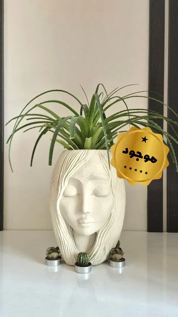 فروش گلدان های آپارتمانی شیک و ترند|گل و گیاه طبیعی|تهران, نارمک|دیوار