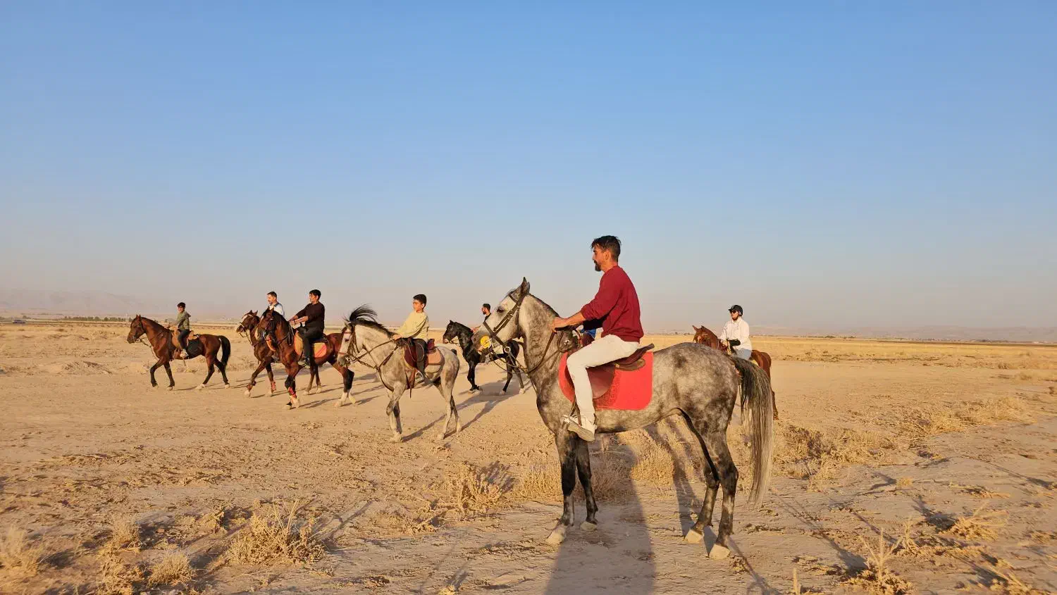 خرید و فروش اسب، پانسیون، آموزش سوارکاری|حیوانات مزرعه|مشهد, کلاکوب|دیوار