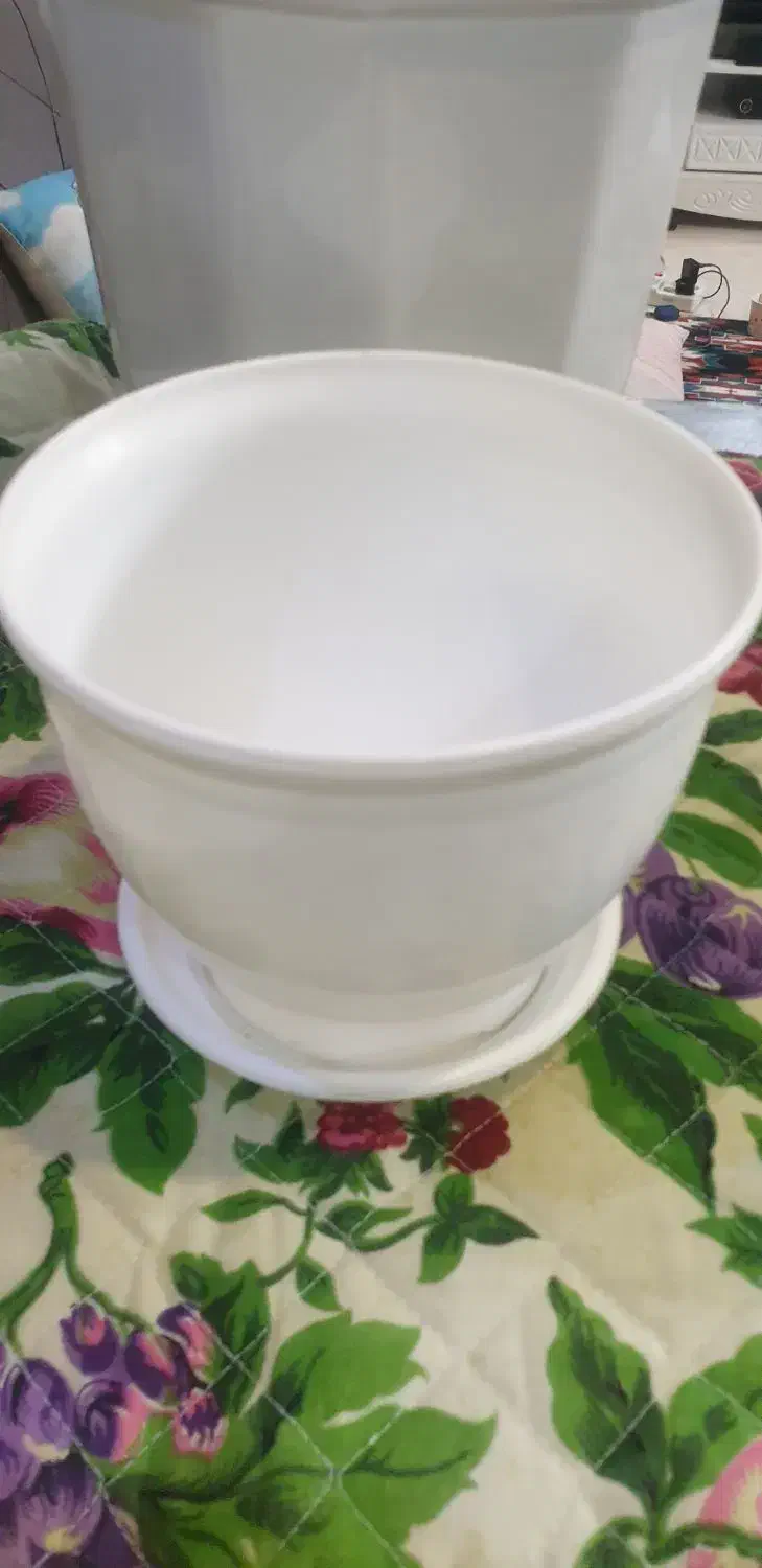 گلدان|گل و گیاه طبیعی|ری, فیروزآبادی|دیوار