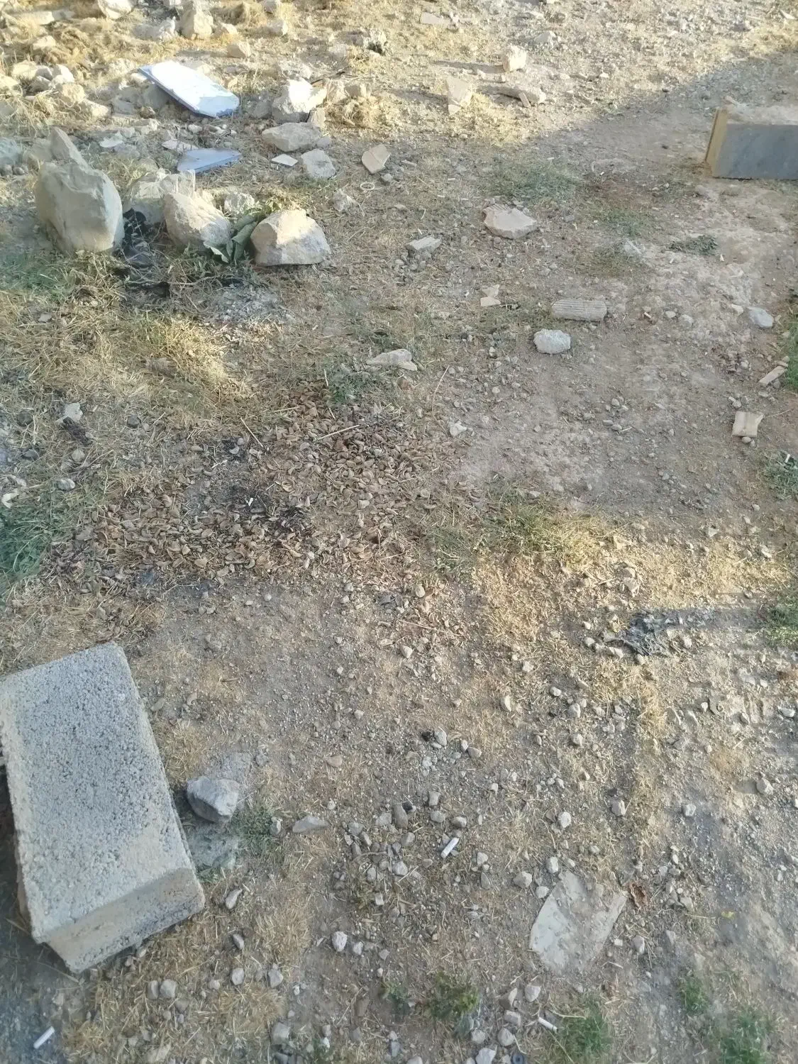 یک قطعه زمین فروشی|فروش زمین و ملک کلنگی|لاران, |دیوار