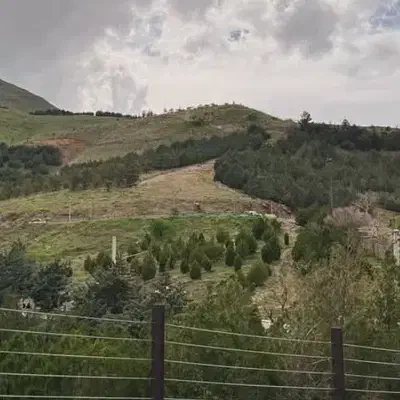 راهنمایی لطفا|فعالیت داوطلبانه|سنندج, |دیوار