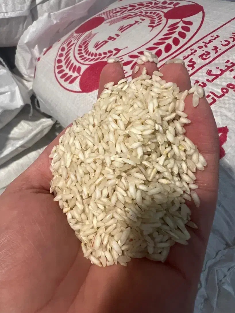 برنج عنبر بو درجه یک عنبربو|خوردنی و آشامیدنی|شیراز, بریجستون|دیوار