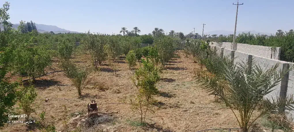 فروش تقریبا ۲۰۰۰ متر باغ جنت شهر|فروش دفتر صنعتی، کشاورزی، تجاری|جنت, |دیوار