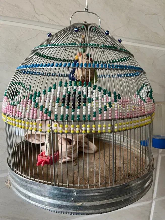 قفس پرنده|لوازم جانبی حیوانات|الوند, |دیوار