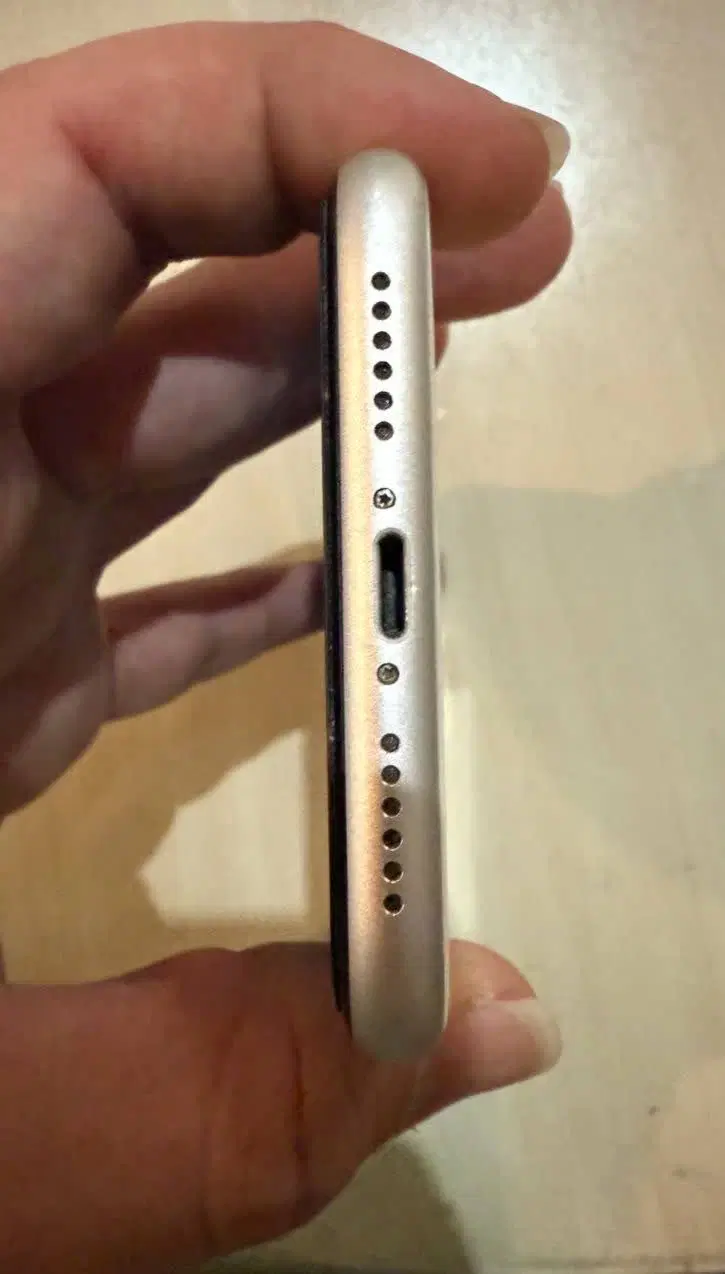 iPhone 11|موبایل|تهران, امیریه|دیوار