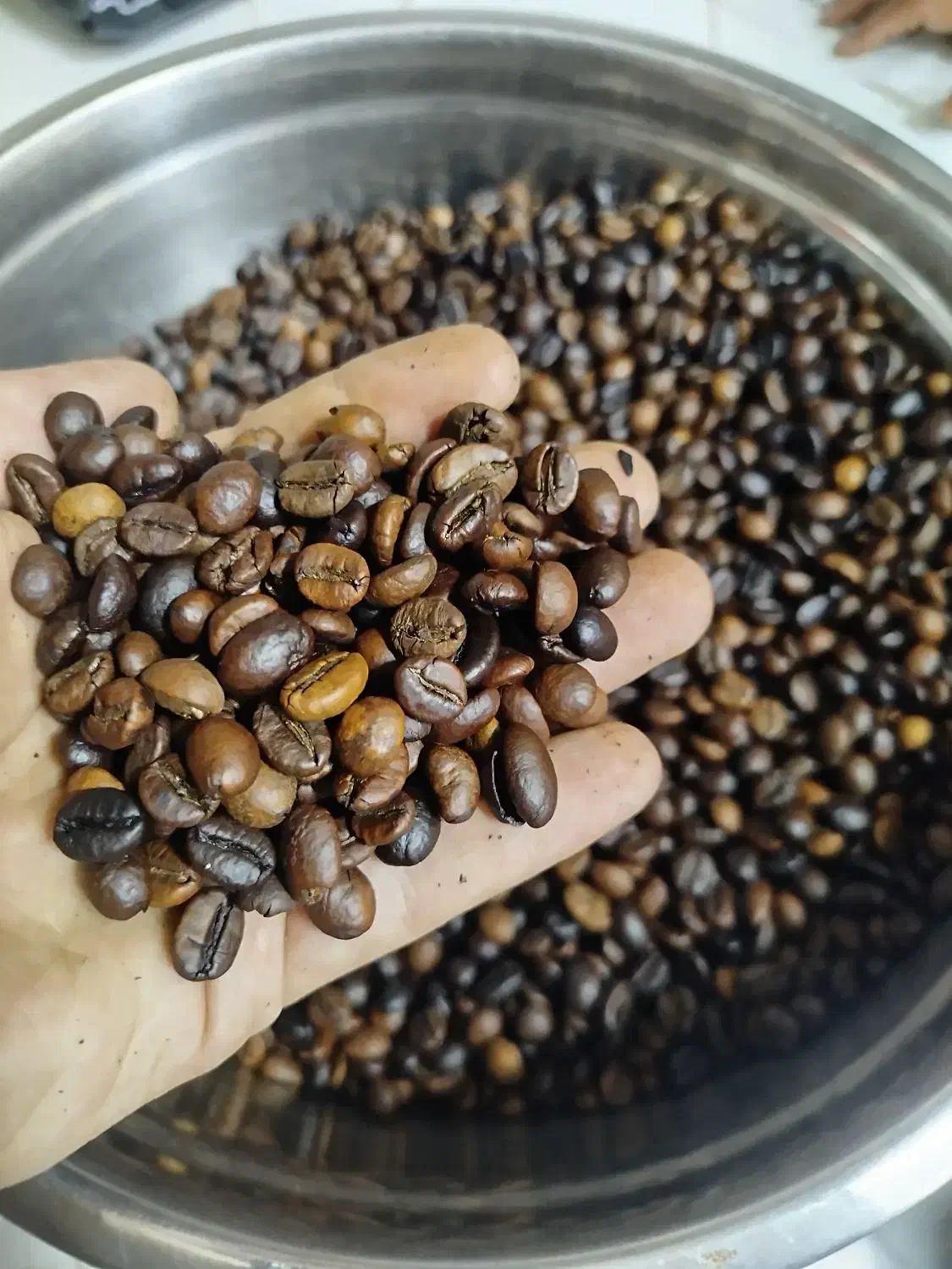 دان قهوه|عمدهفروشی|قرچک, مهدیه|دیوار