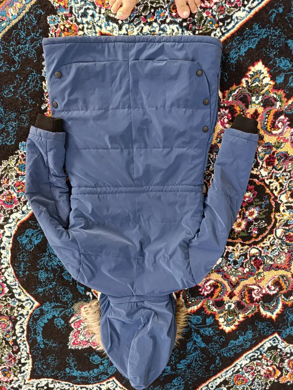 کاپشن|لباس|کرمانشاه, |دیوار