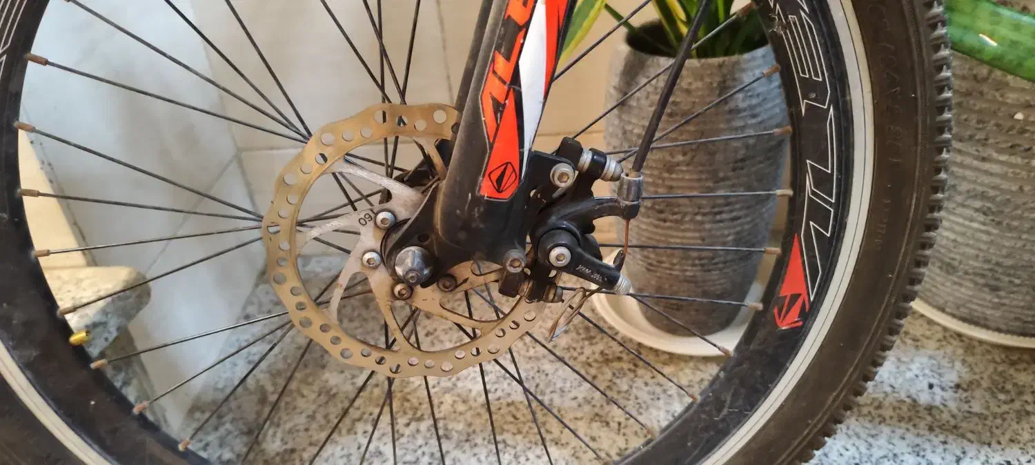 دوچرخه|دوچرخه، اسکیت، اسکوتر|بندرعباس, |دیوار