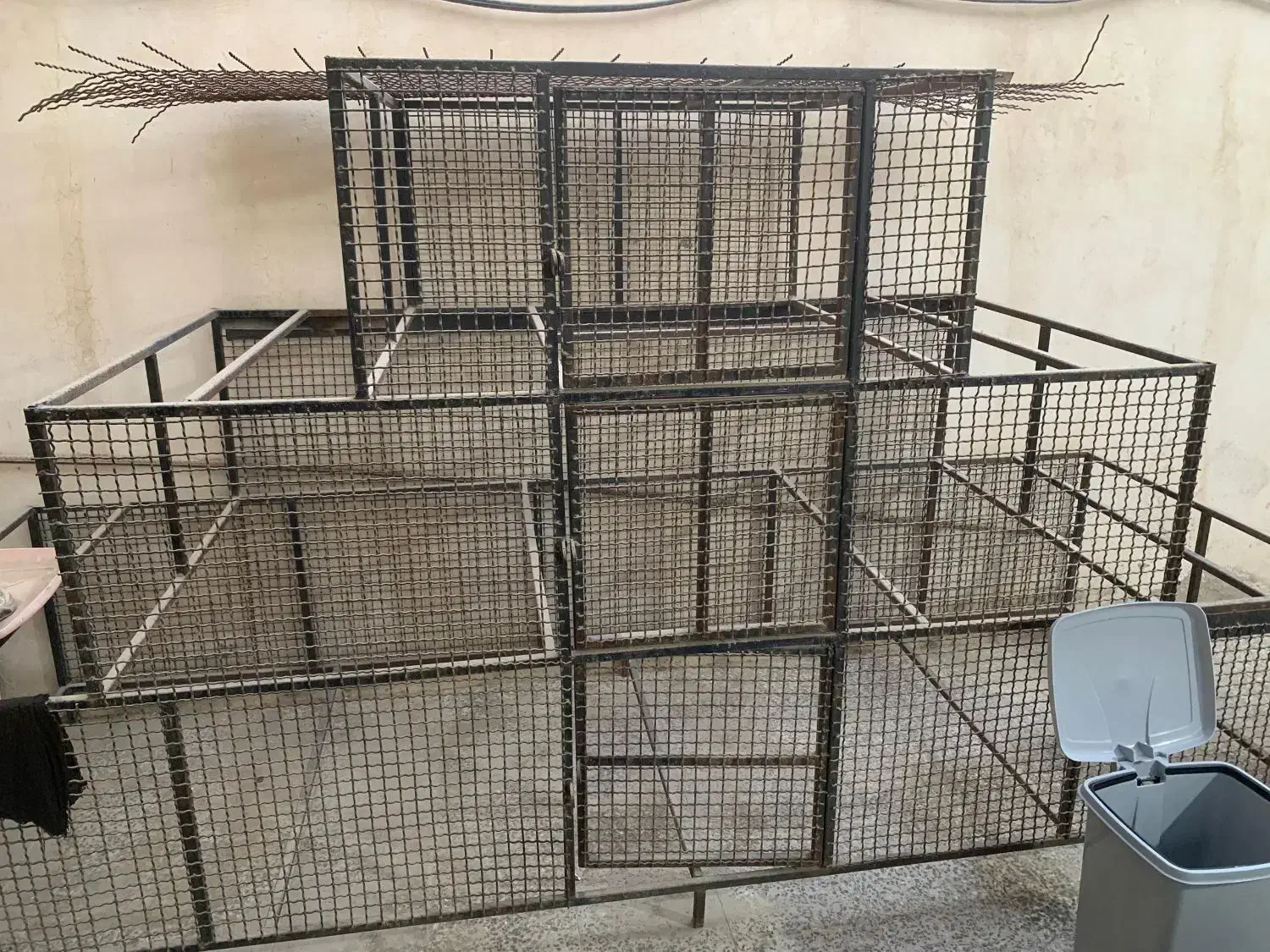 قفس سه طبقه|لوازم جانبی حیوانات|چابهار, |دیوار