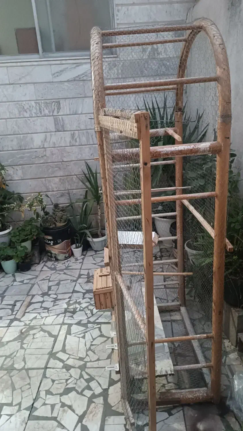 قفس پرنده بزرگ سالم فروش فوری|لوازم جانبی حیوانات|بابل, |دیوار