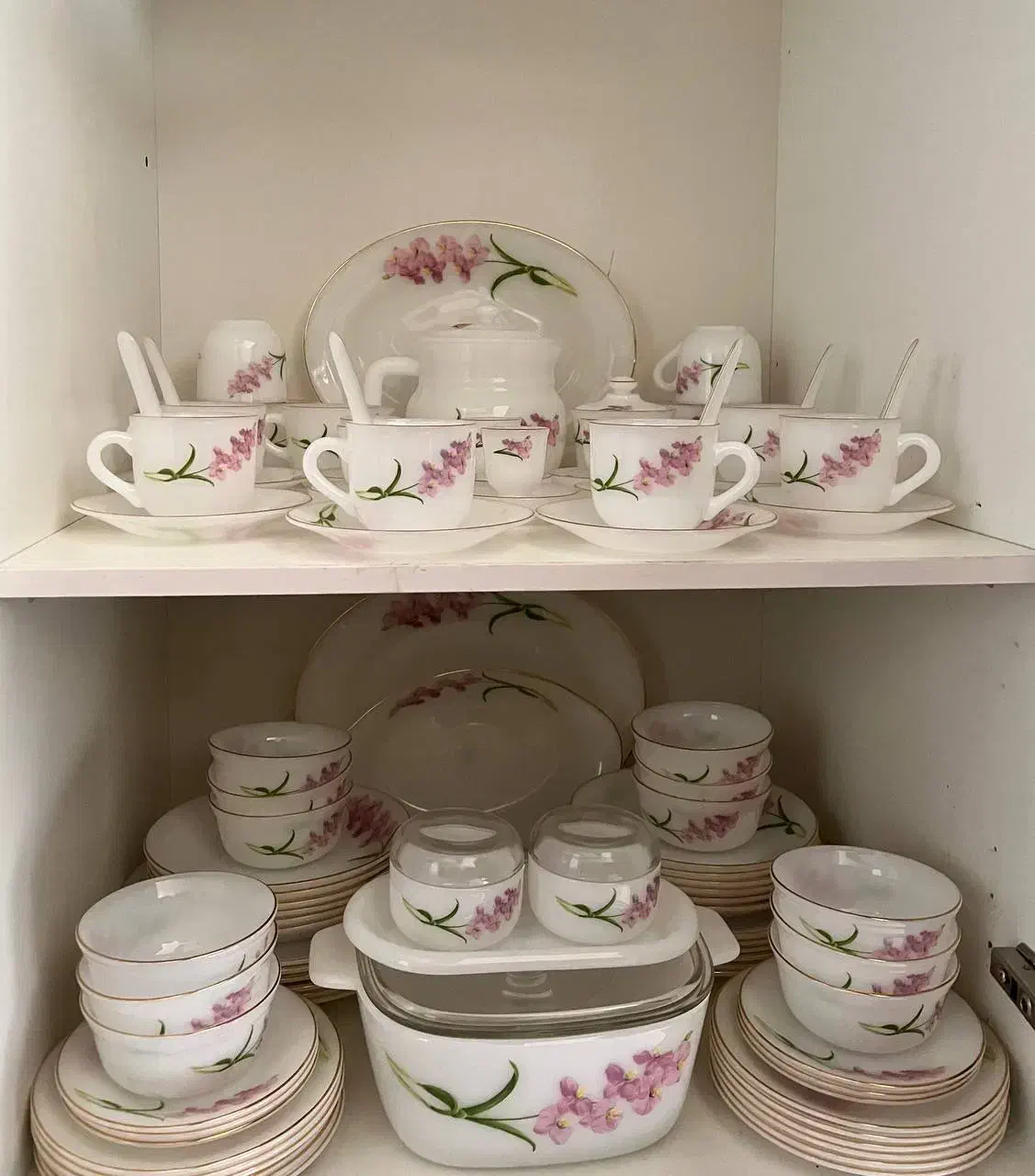 آرکپال پریکس آمریکایی|ظروف سرو و پذیرایی|کاشان, مدرس|دیوار