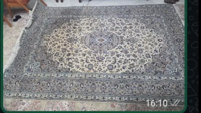 فرش دست بافت|فرش|باقرشهر, |دیوار