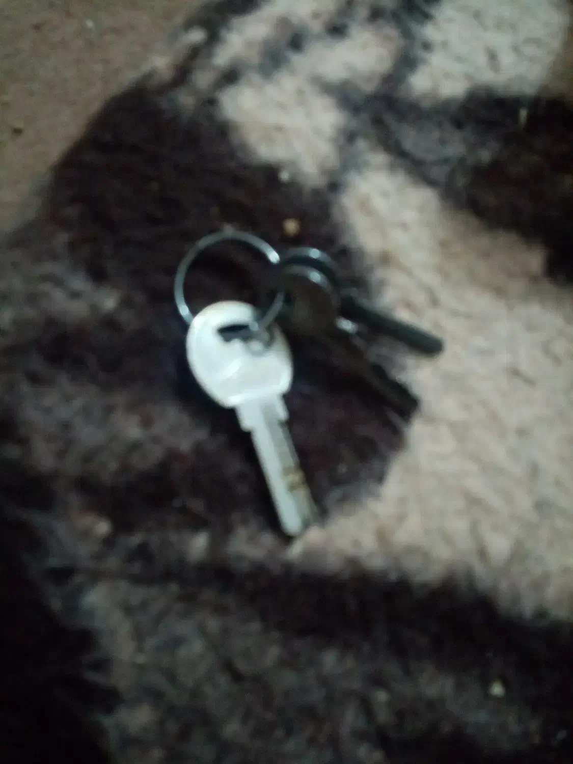 کلید|اشیا|روداب, |دیوار