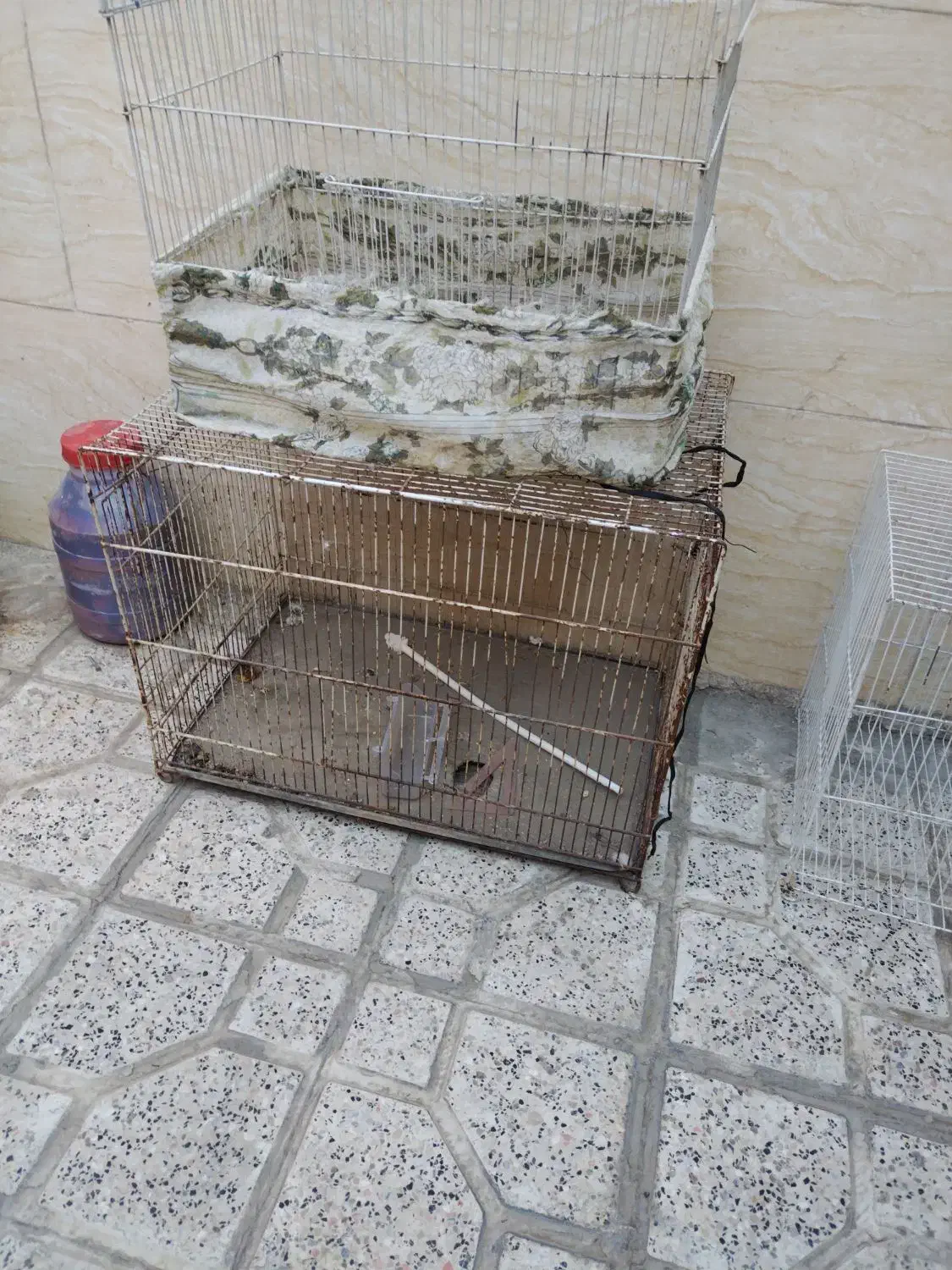 چند عدد قفس|لوازم جانبی حیوانات|مشهد, نوید|دیوار