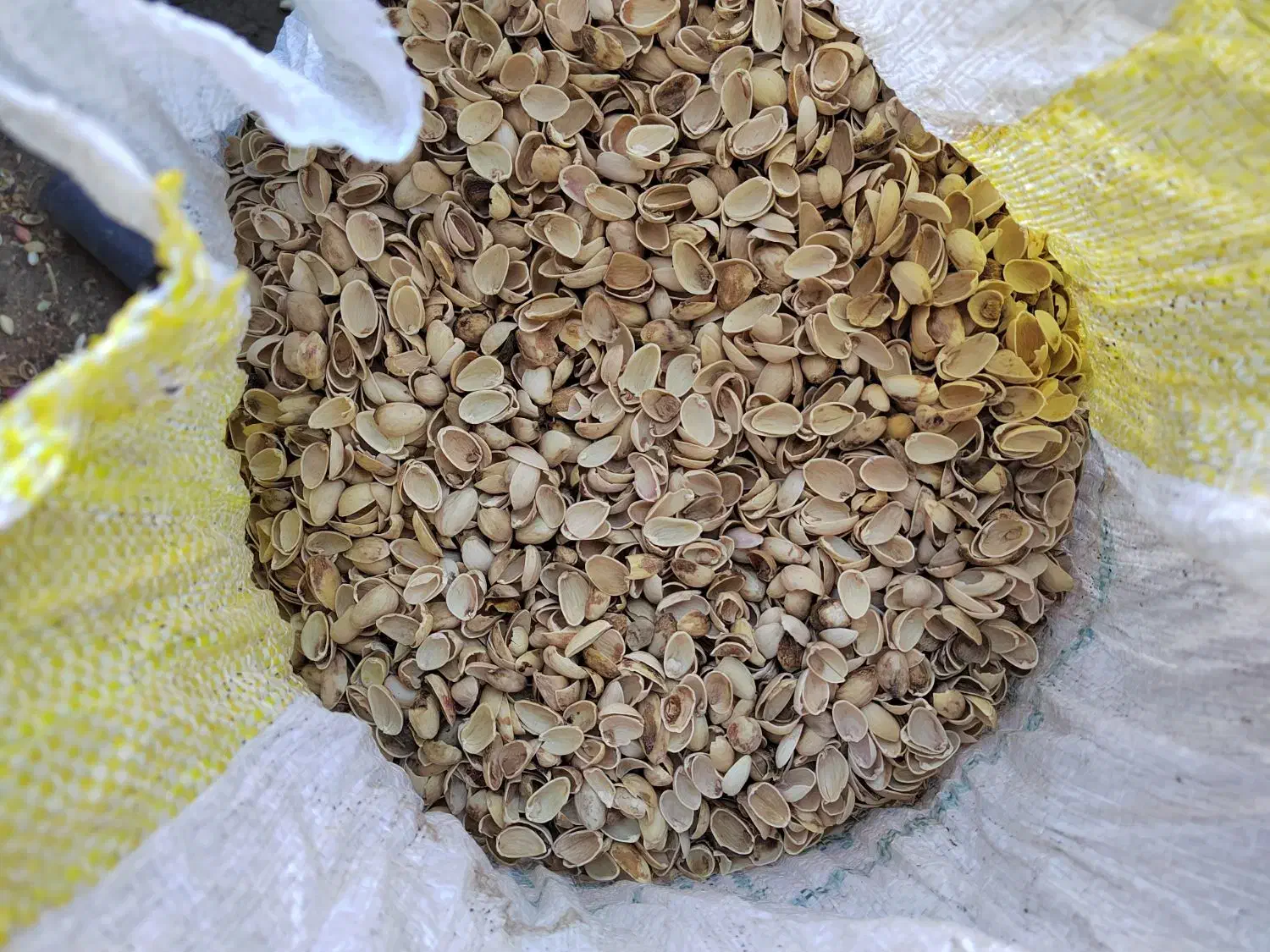 پوست پسته|خوردنی و آشامیدنی|سبزوار, امیر کبیر|دیوار