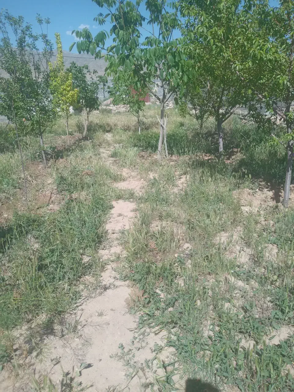 فروش زمین با استخر در روستای باغان با سند ششدانگ|فروش زمین و ملک کلنگی|شیروان (خراسان), |دیوار
