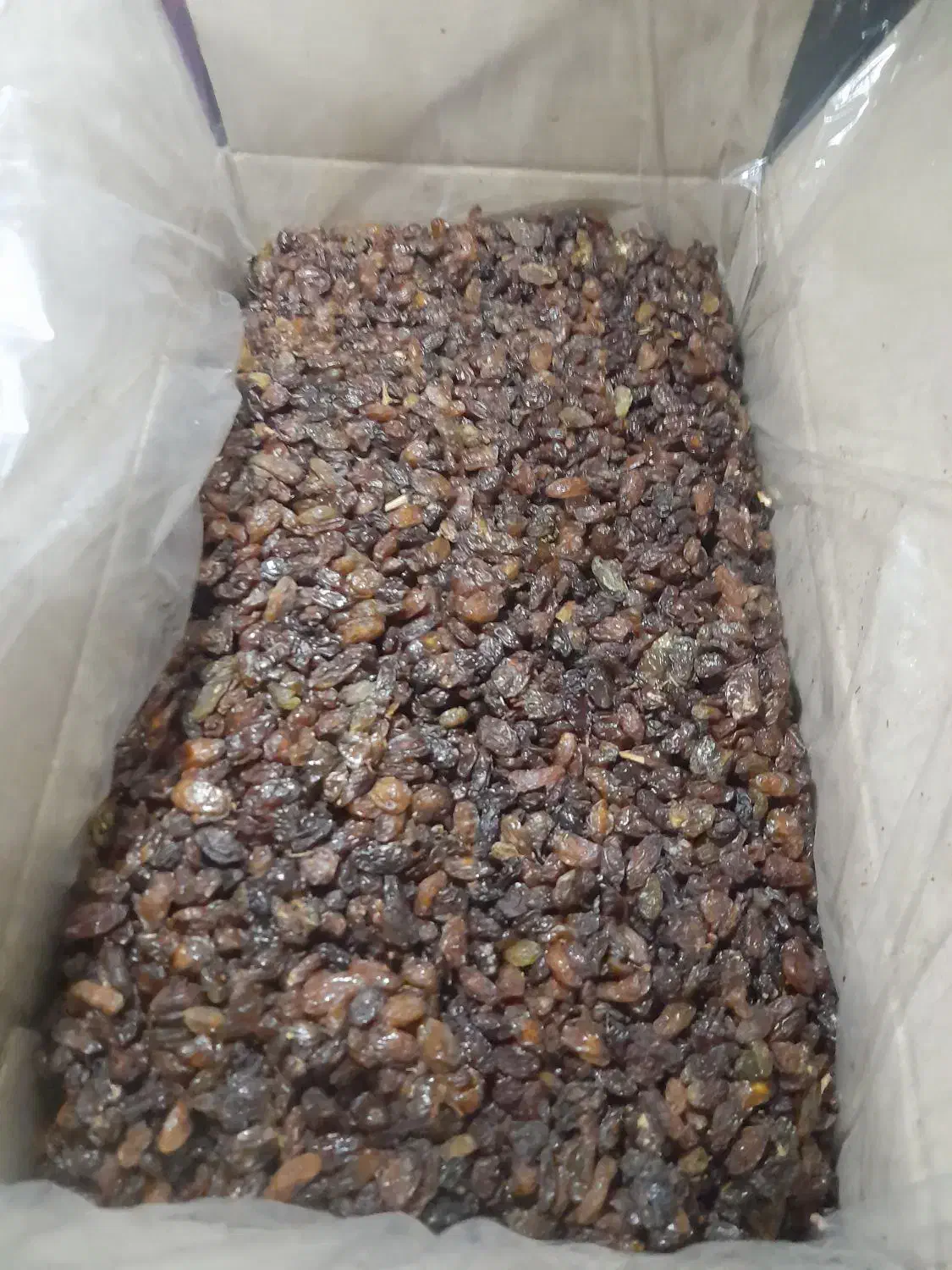 تخصصی کشمش آبگیری (گله)خلیل آباد کاشمر ،جزیی کلی|خوردنی و آشامیدنی|مشهد, هدایت|دیوار