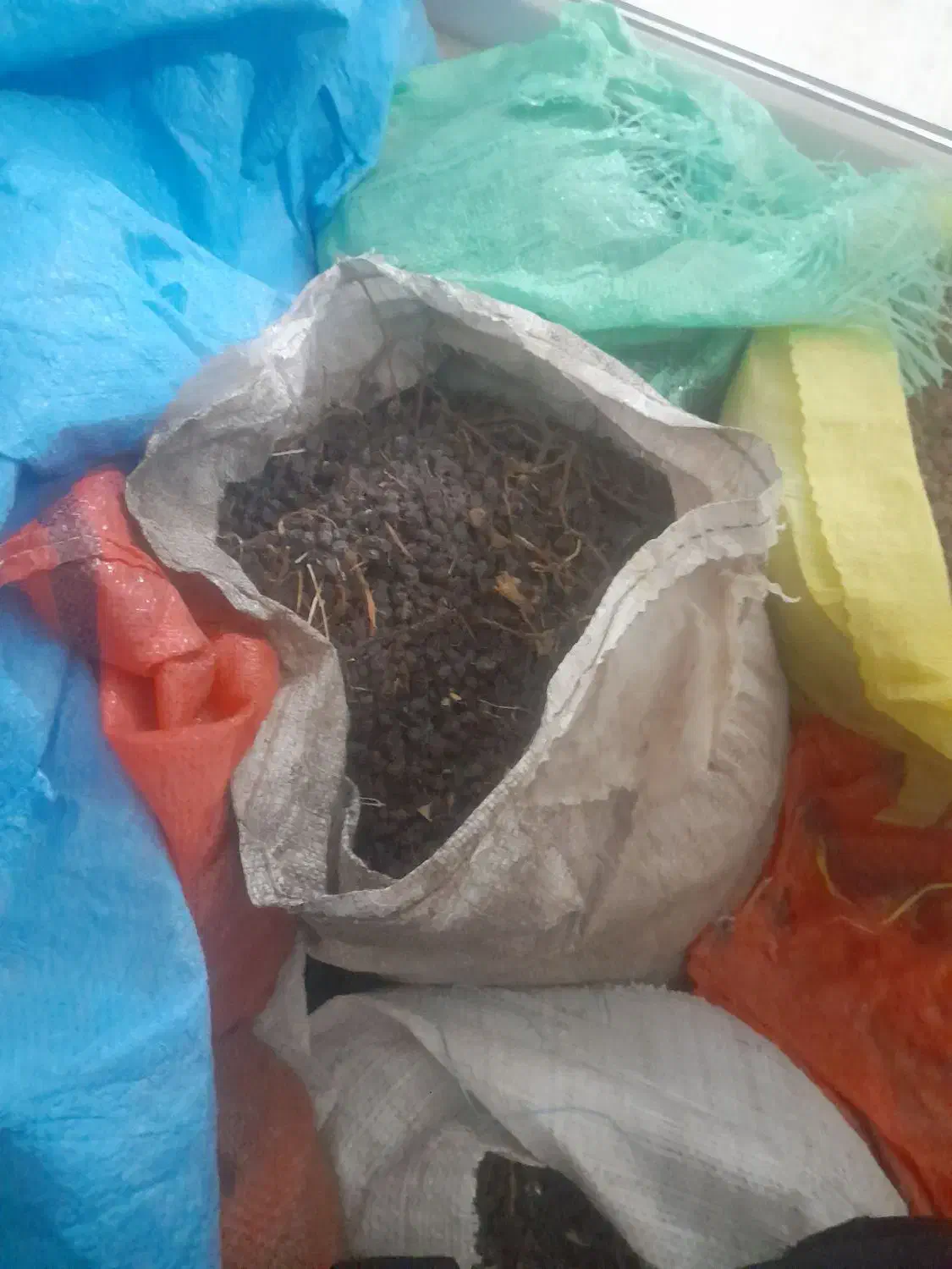 کشمش بیدانه افتابی پلوی|خوردنی و آشامیدنی|رودسر, |دیوار