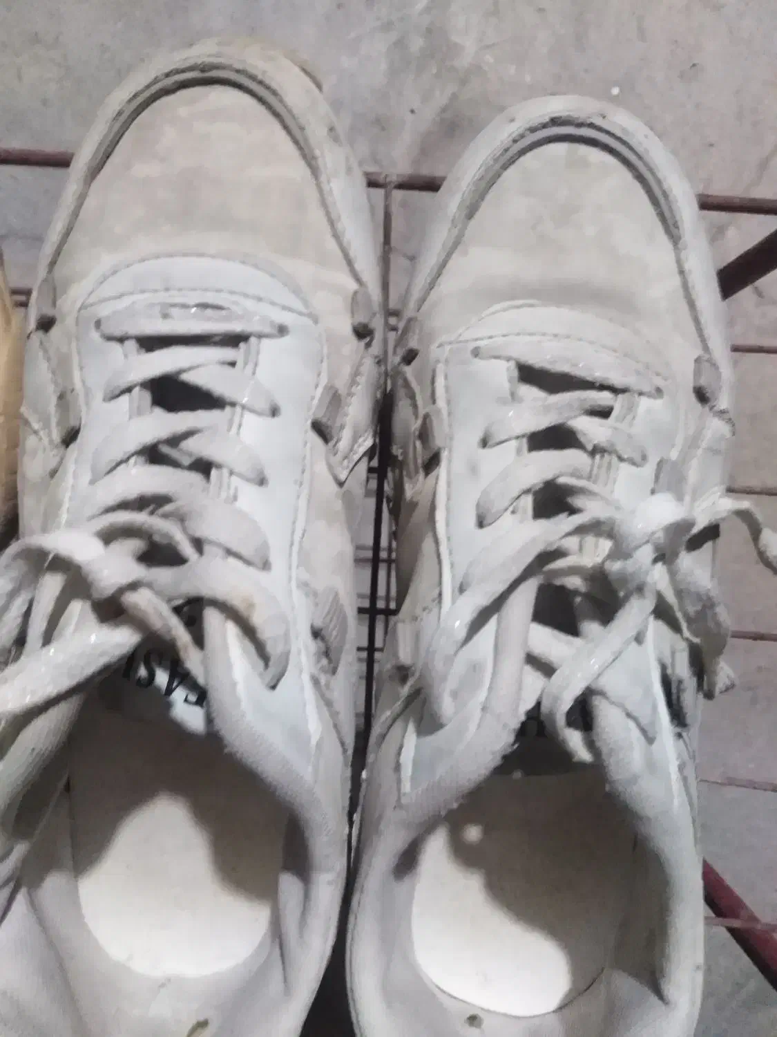 کفش|کیف، کفش، کمربند|برازجان, |دیوار