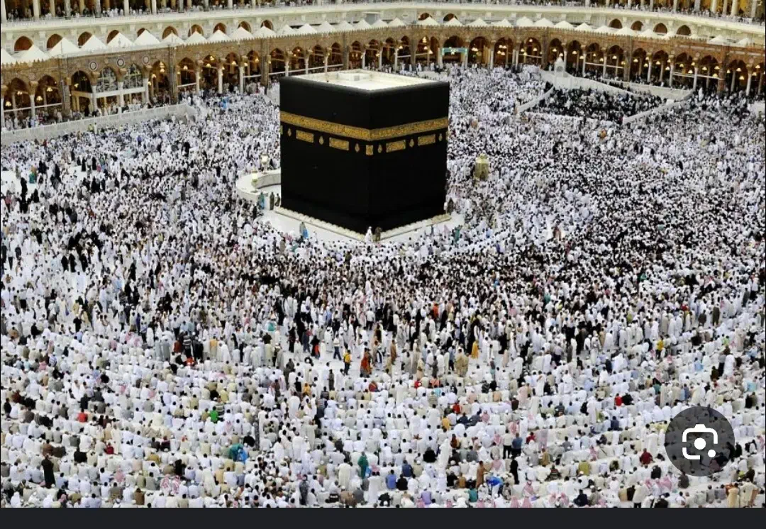 دو عدد فیش حج عمره|تور و چارتر|شاهین دژ, |دیوار