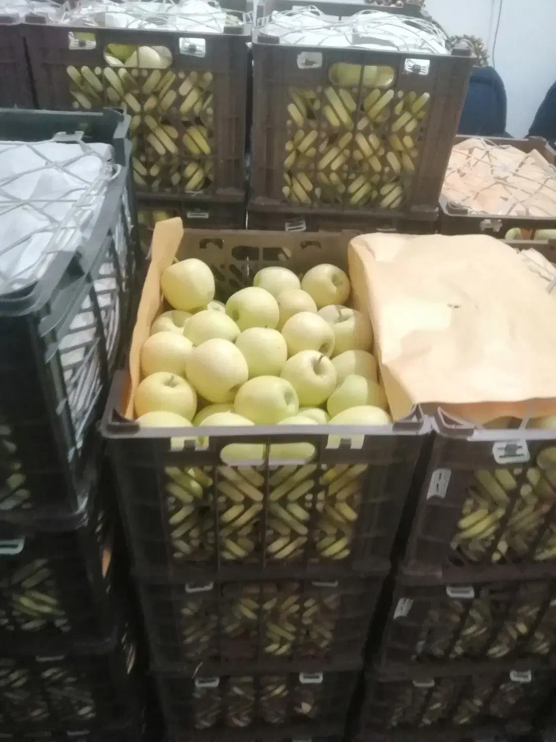 سیب تازه رسید|خوردنی و آشامیدنی|جم, |دیوار