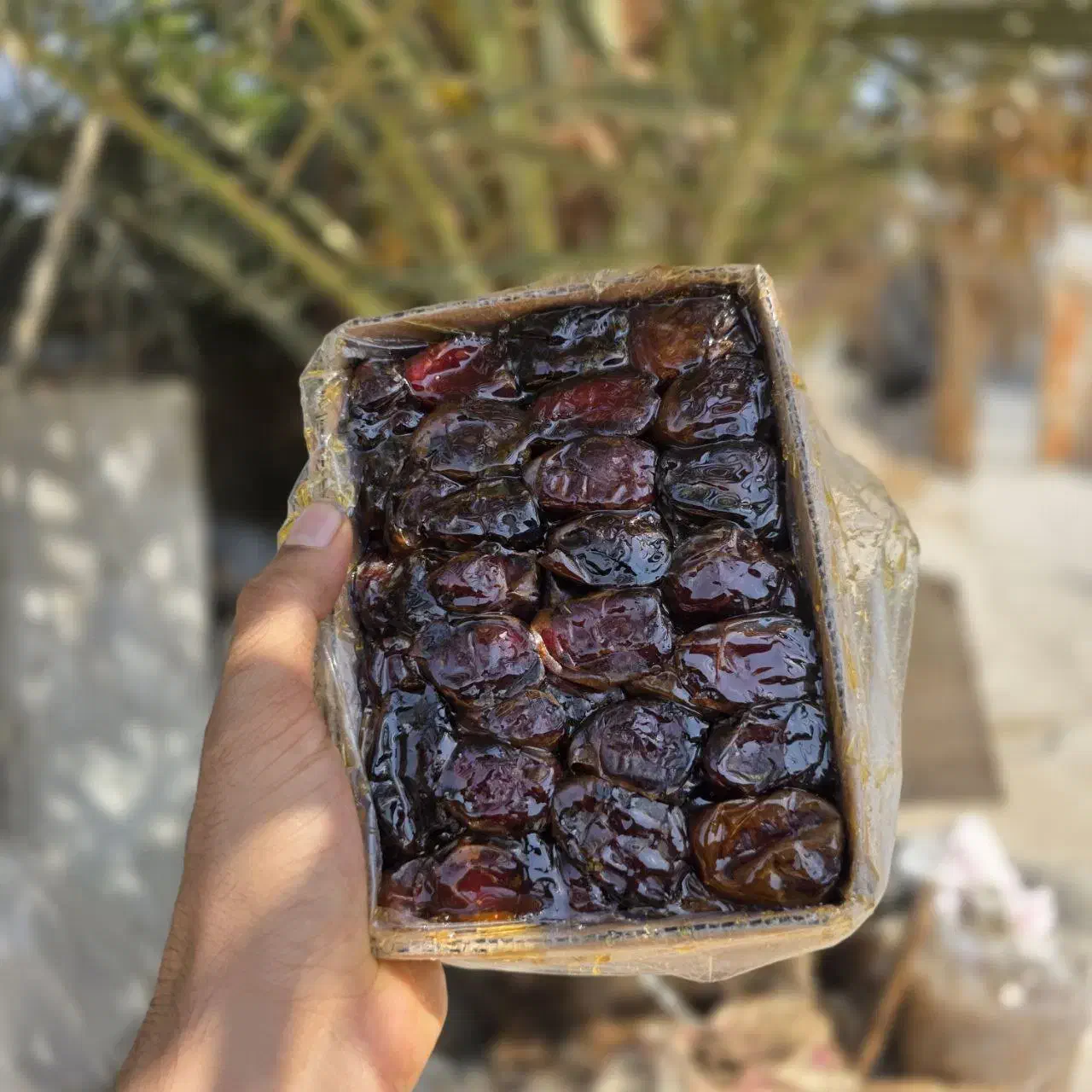 خرما عمده وجزیی|خوردنی و آشامیدنی|قم, هنرستان|دیوار