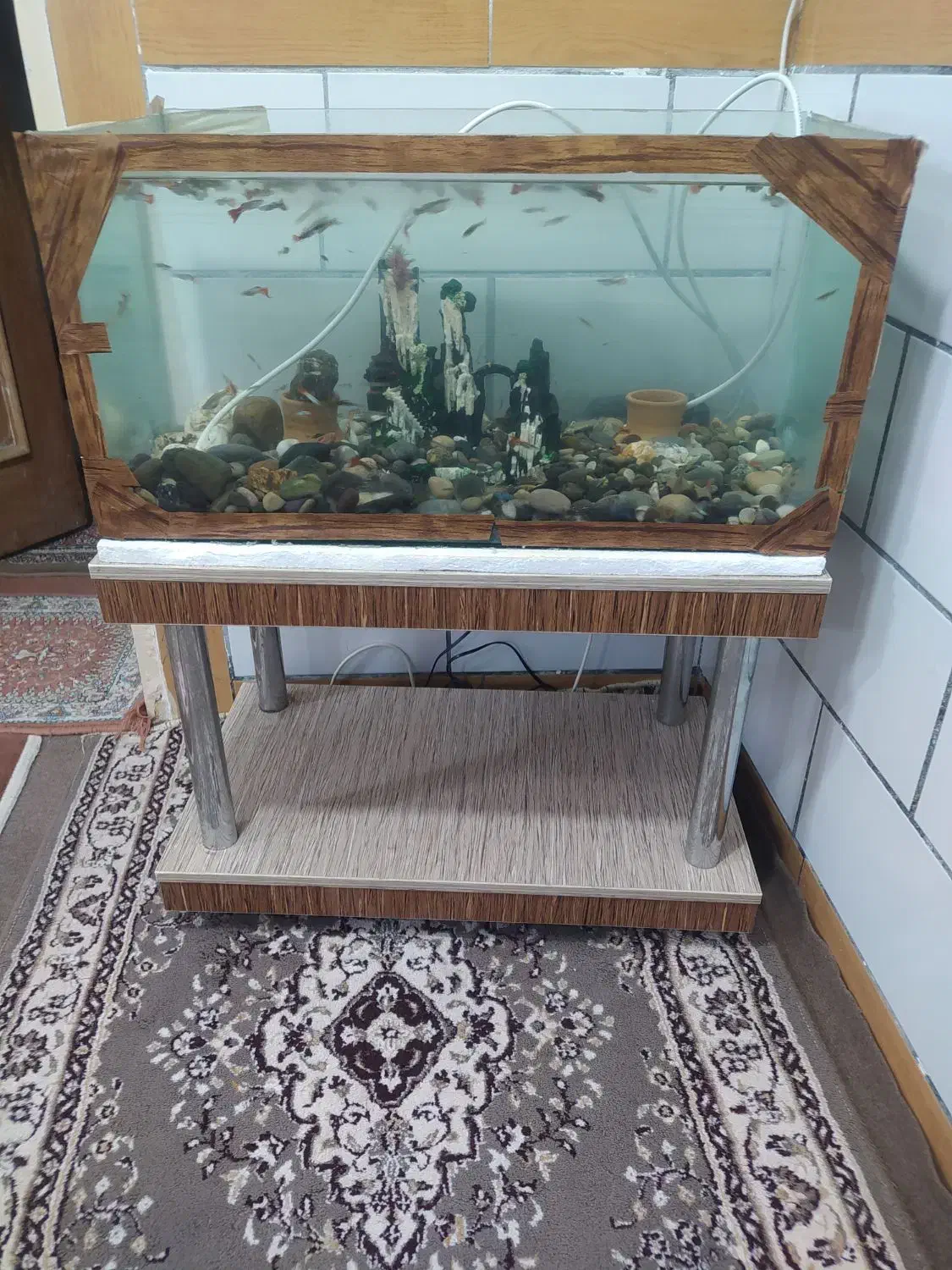 آکواریوم+پمپ+سنگ|ماهی|اراک, |دیوار