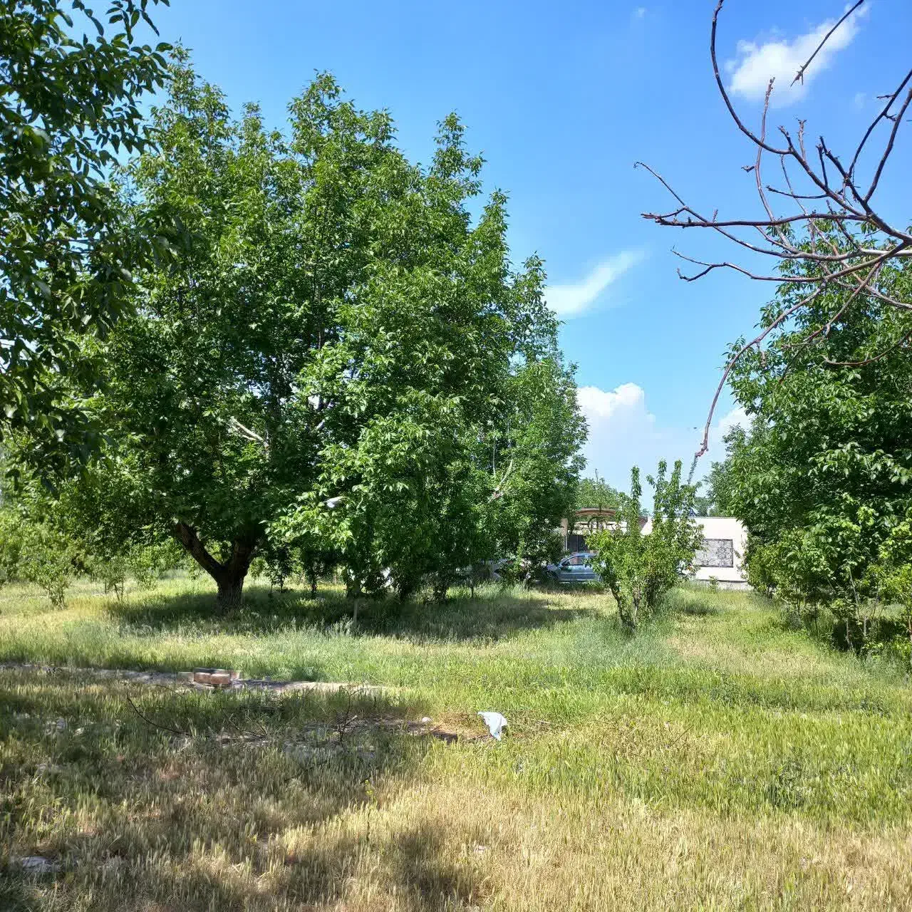 باغچه ۴۶۰ متری آب برق گاز داخل مجموعه دهشاد|فروش زمین و ملک کلنگی|شهریار, اسکمان|دیوار