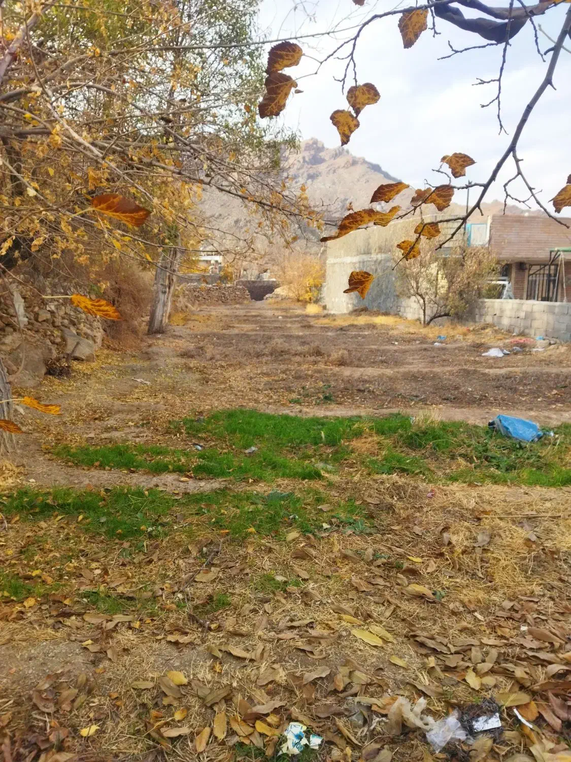 زمین ۳۰۰ متری بخش خضرآباد روستایی دربرز|فروش زمین و ملک کلنگی|خضر آباد, |دیوار