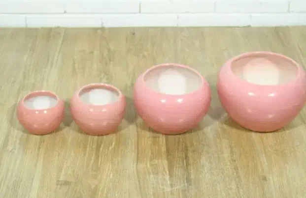 گلدان|گل و گیاه طبیعی|ایلام, |دیوار