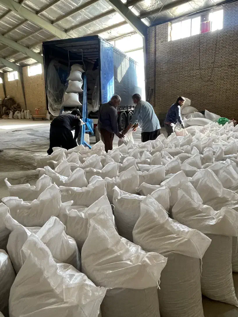 حسابدار حرفه ای پسته|استخدام مالی، حسابداری، حقوقی|رفسنجان, |دیوار