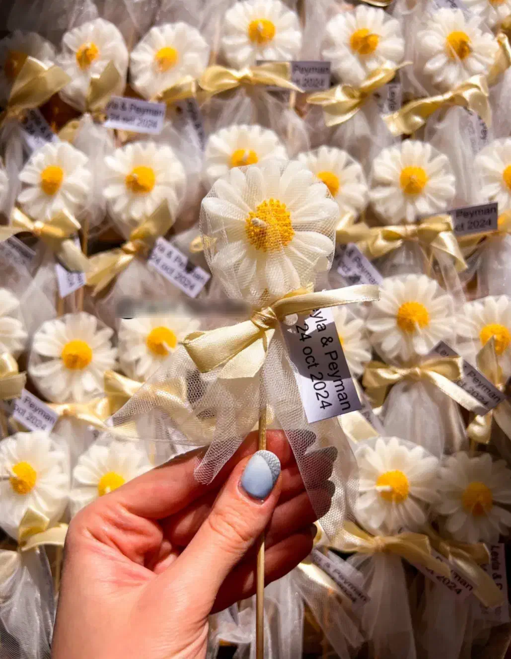 شمع گل بابونه|صنایع دستی و سایر لوازم تزئینی|میبد, |دیوار