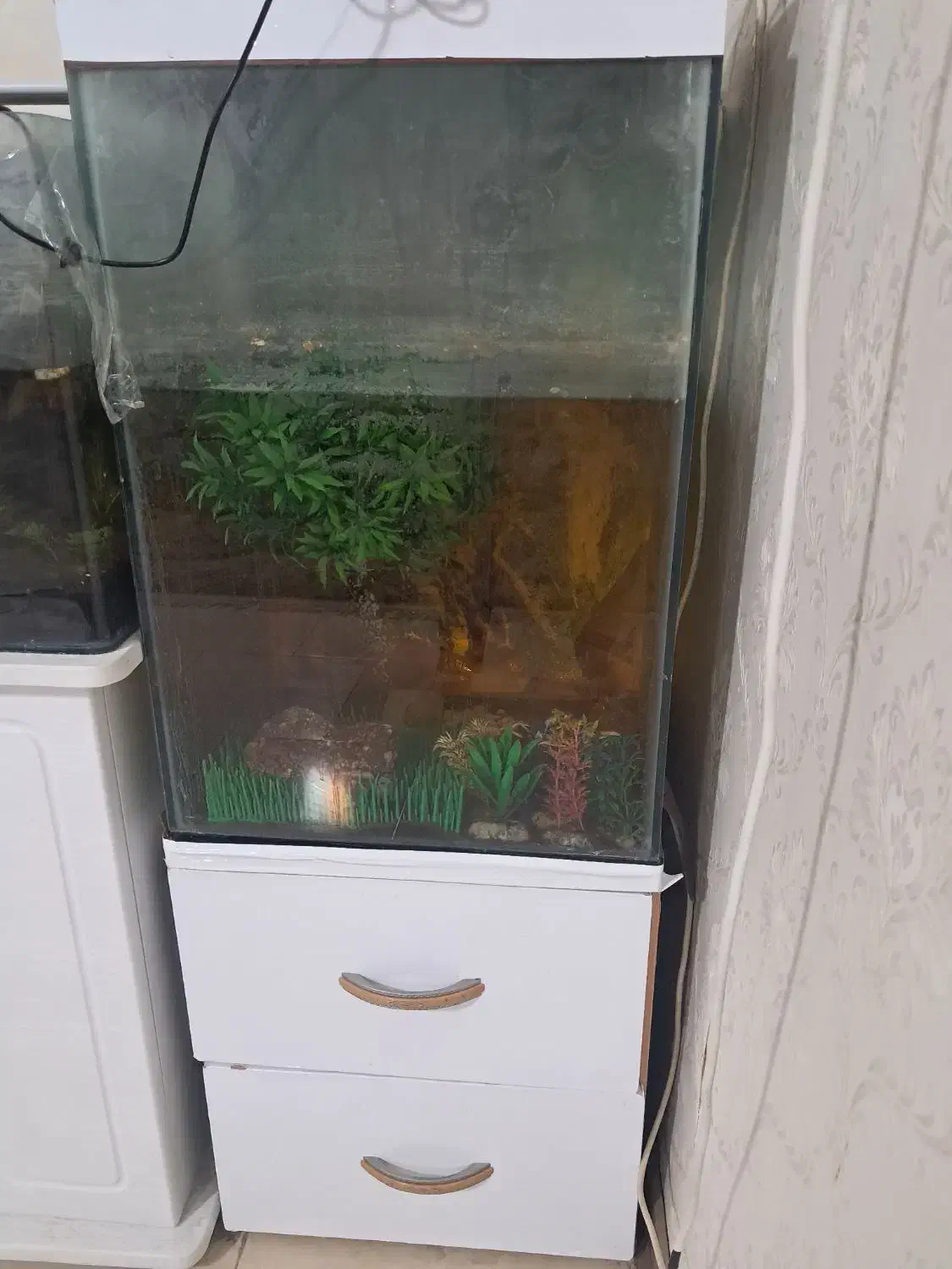 انواع آکواریوم|ماهی|نیشابور, مسکن مهر نور|دیوار