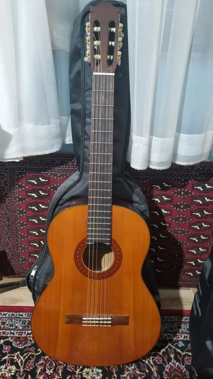 گیتار c70|گیتار، بیس، امپلیفایر|ساری, |دیوار