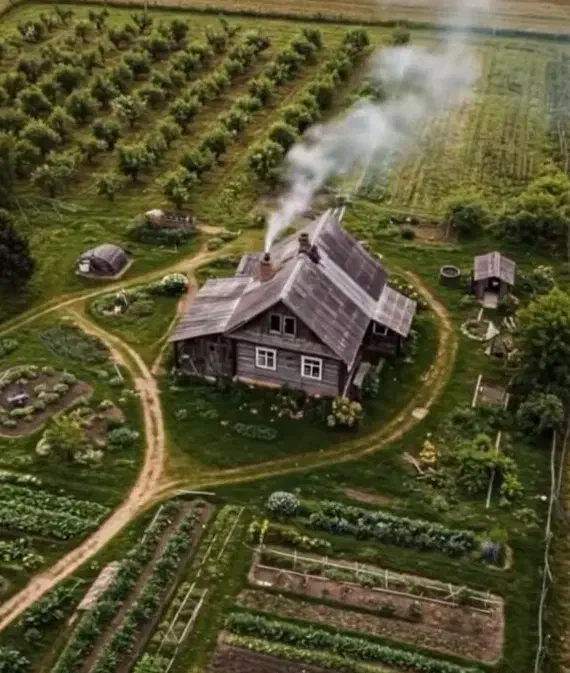 لوله کشی اب و فاضلاب وبرق کشی ساختمان|خدمات پیشه و مهارت|کرمانشاه, |دیوار