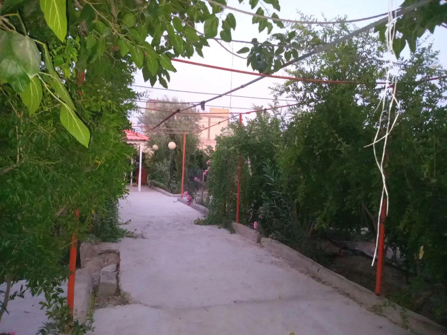 فروش باغچه ۱۷۰۰متری|فروش خانه و ویلا|شیراز, کرونی(خاتونک)|دیوار